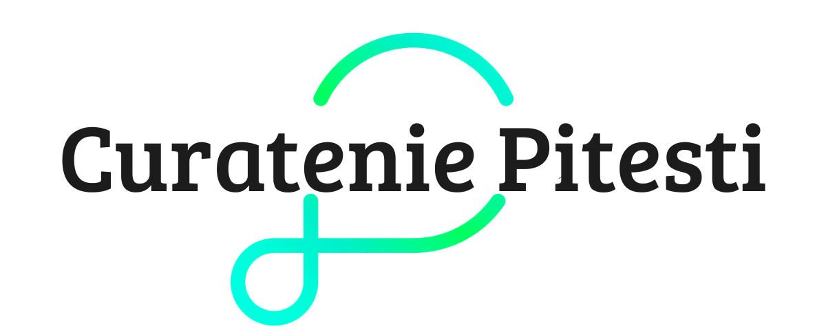 curatenie_pitesti